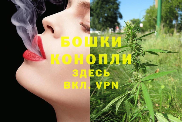 прущие грибы Богородицк