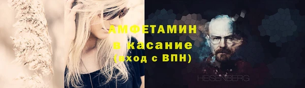 прущие грибы Богородицк