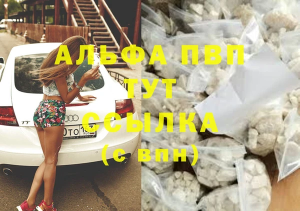прущие грибы Богородицк