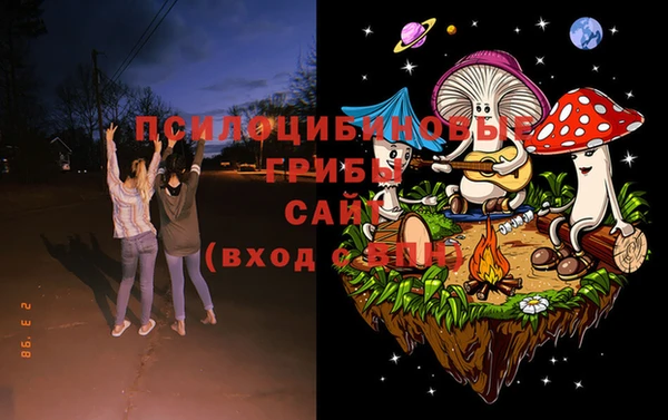 стафф Богданович