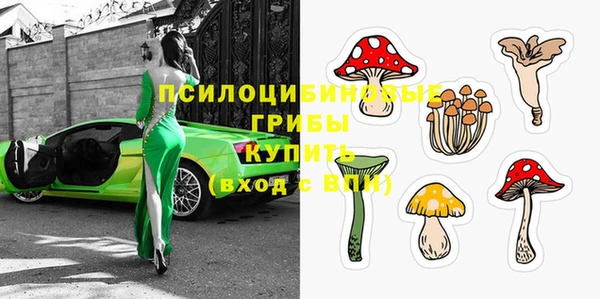 стафф Богданович