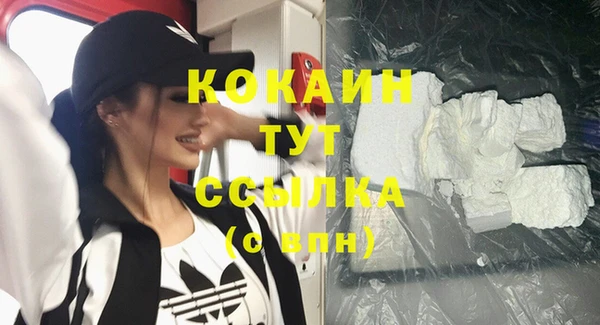 стафф Богданович
