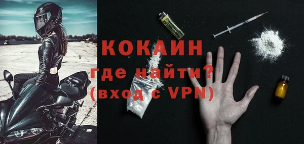 прущие грибы Богородицк