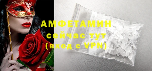 стафф Богданович