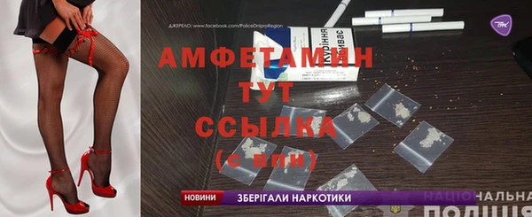 прущие грибы Богородицк
