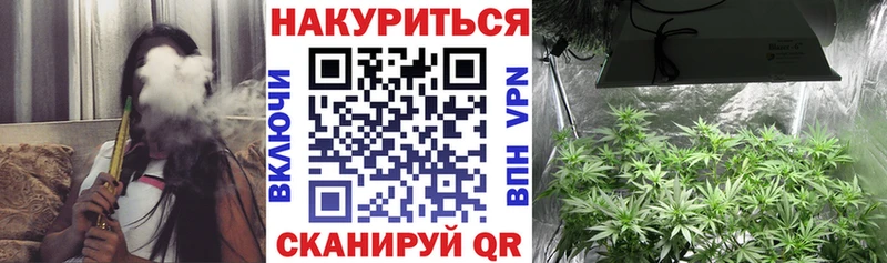 Бошки марихуана индика Михайлов